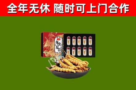 南沙区烟酒回收冬虫夏草礼盒.jpg